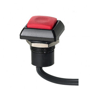 APEM IC Momentary Push Button