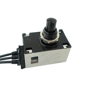 CPI D1 Series Plunger Waterproof switches